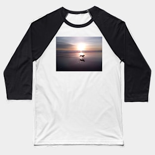 Dog Chasing Sunset in California Baseball T-Shirt